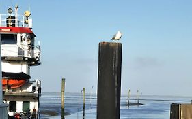 Ferienwohnung Nordsee Gulfhof Dornum - mit großem Garten